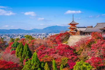 Rolgordijnen Herfstbladeren van de Kiyomizu-dera-tempel in Kyoto © Route16