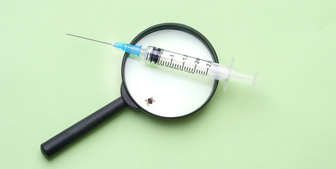syringe needle vaccine and dangerous tick. threats to health, disease encephalitis. encephalitis...