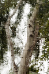 Pouring rain covering the window during a storm; blurred tree shape visible in the background; abstract background