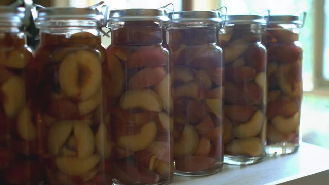 homegrown plums preserved and bottled