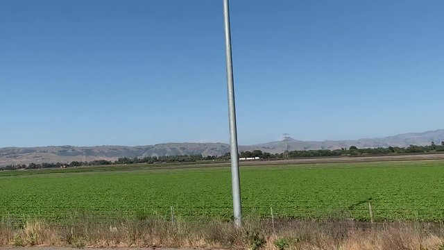 Driving past large acres of commercial strawberry fields in Northern California's highway 101.