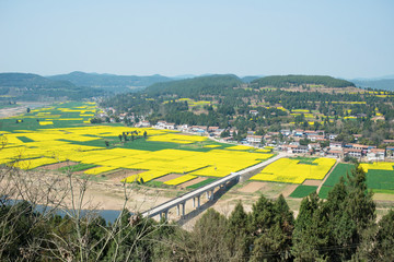 The countryside landscape is in spring