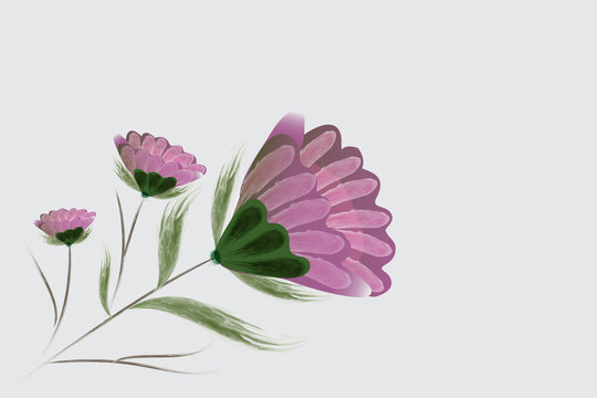 Pink Dahlia flower
