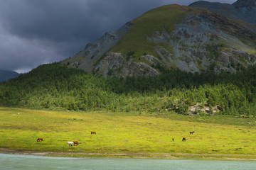 Akkem river valley landscape picturesque view. Altai Mountains