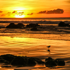 Magnifique couché de soleil sur une plage du Costa Rica