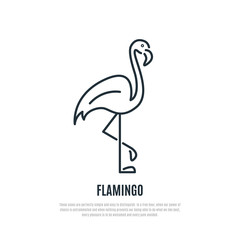 Flamingo line icon. Wild bird symbol. Liner style. Vector illustration.