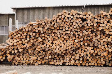 Chopped wood, woodpile, firewood - sawmill