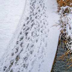 Square Snowy trail along Oquirrh Lake with track marks