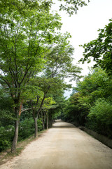 Fototapeta na wymiar Mungyeongsaejae Pass is a cultural asset of the Joseon Dynasty in Korea.