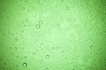 Rain droplets on green glass background, Water drops on green glass.