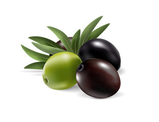 Olives and leaves isolated on transparent background. Photo-realistic vector, 3d
