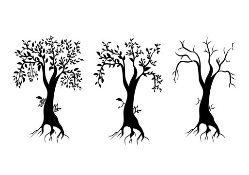 silhouettes of three trees on a white background.