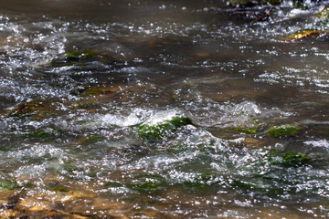 beautiful river with stones in summer on a Sunny day
