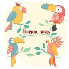 Naklejka premium cute drawing flat vector tropical bird set, colorful summer