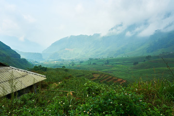 Naklejka premium Rice fields at the Mountain of north Vietnam. Beautiful landscape view on the Ha Giang loop . Motorbike trip