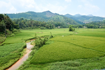 Rice fields at the Mountain of north Vietnam. Beautiful landscape view on the Ha Giang loop . Motorbike trip
