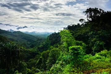 Khao Sok National Park landscape, Thailand