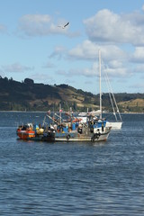 Fototapeta premium botes chilotes 