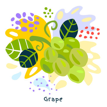 Fresh grape berry berries fruits juice splash organic food juicy grapes splatter on abstract background vector hand drawn illustrations
