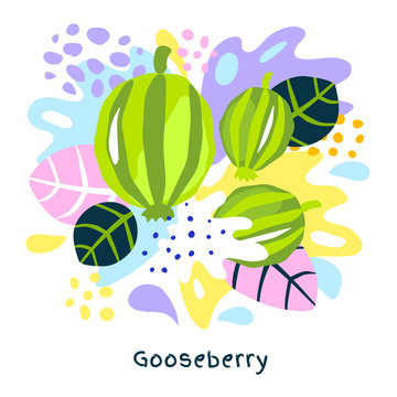 Fresh gooseberry berry berries fruits juice splash oil organic food gooseberries juicy splatter on abstract background vector hand drawn illustrations