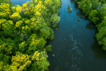 Fototapeta na wymiar Caddo River, Arkadelphia Arkansas