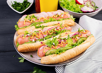 Hot dog with  sausage, cucumber, radish and lettuce on dark wooden background. Summer hotdog.