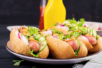 Hot dog with  sausage, cucumber, radish and lettuce on dark wooden background. Summer hotdog.