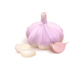 Garlic realistic 3d Vector isolated illustration