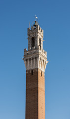 Fototapeta na wymiar Tower of Mangia (Torre del Mangia), in Siena, Italy