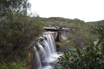 Obraz premium Nice little waterfall in the outback forest Australia 