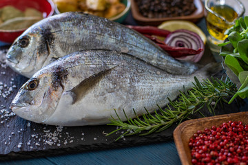 Sea bream ( gilt head ) on the black stone