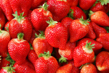 background from freshly and tasty harvested strawberries. Food background