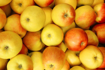 background of ripe apples, top view