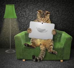 The cat reads a laptop on the green couch near a floor lamp in the living room.