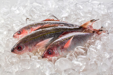 Fresh fusilier fish in the market.