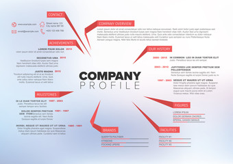 Vector Company infographic overview design template