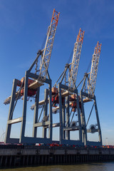 Fototapeta na wymiar Container cranes at Burchardkai in the harbour of Hamburg, Germany.