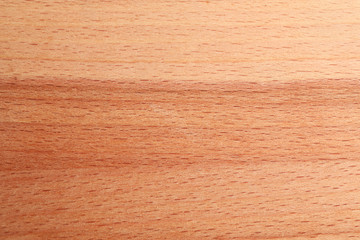 Wooden texture, closeup