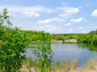 Landscape. Spring view of the lake with reflected trees