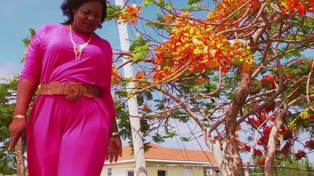 The Original Bahama Mama At Mcclean Town Sea Wall, East End Grand Bahama, Bahama