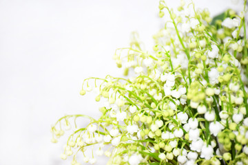 White lilies of the valley on a white background with selective focus. Fresh Beautiful Spring Flowers Background. White lilies of the valley with space for text.