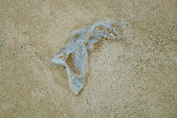 plastic bag on the dirty beach with selective focus in the morning