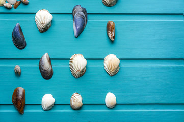 Fototapeta na wymiar Seashells over blue background