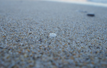 Canary Islands nature. Black sea round stones on the sandy coast close up.