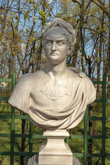 Fototapeta premium Statue of the Summer Garden 