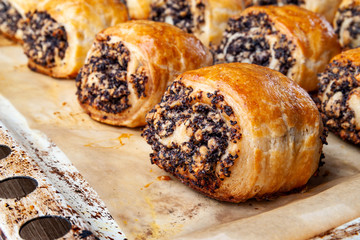 Crispy freshly baked cookies with poppy seeds on a baking tray.