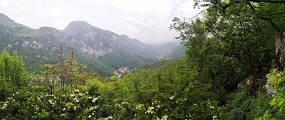 Mountains and flowers panoramic view 