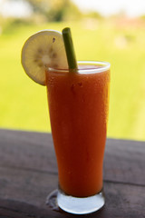 Ice cool refreshing juice drink with a lush green background.