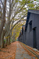 酒田市 山居倉庫の秋景色