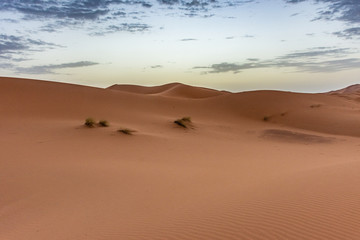 Dawn in the dunes of the Erg Chebbi, Sahara Desert, Morocco